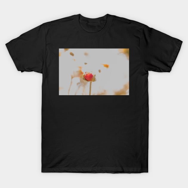 Pretty Poppy T-Shirt by DeborahMcGrath